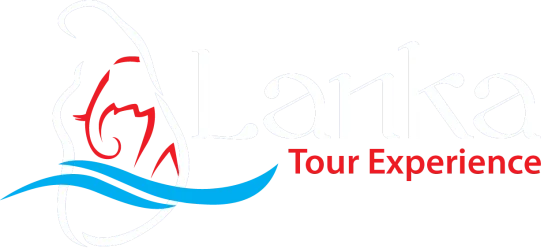 Lanka Tour Experience - Website developed by WebMonks Technologies
