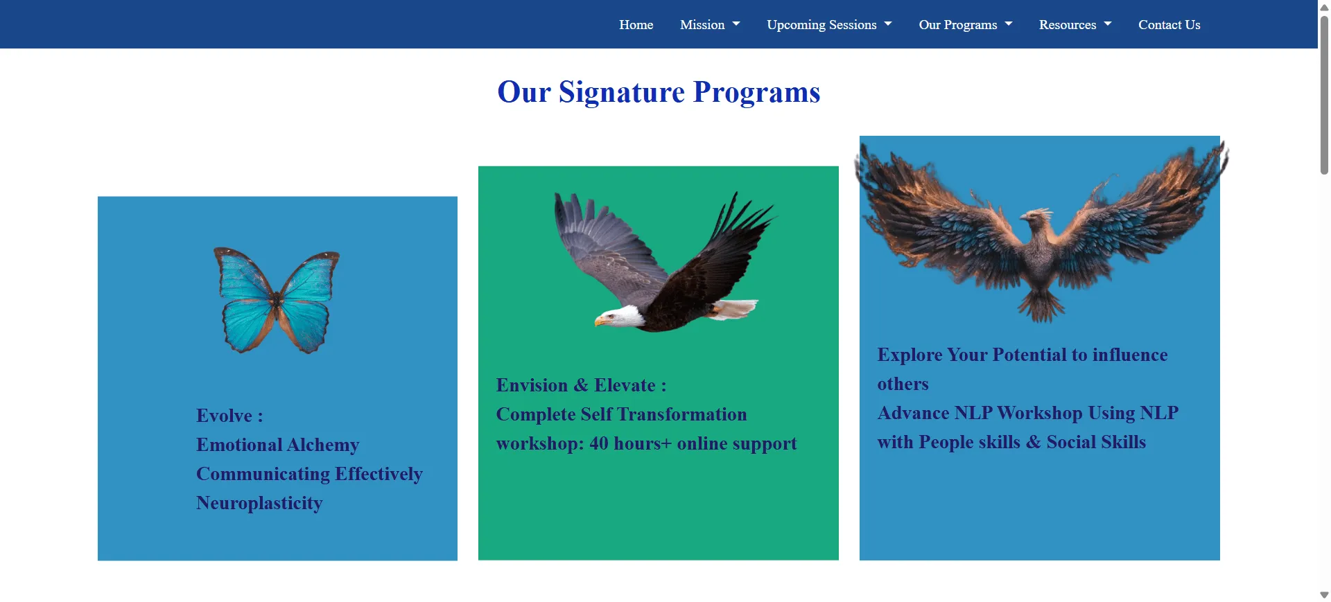 Metamorphosiz - Transformative Coaching Platform